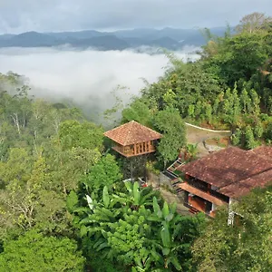 spice-forest-plantation-homestay-thekkady.kerala-hotels.net/